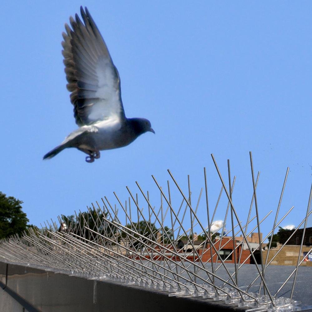 bird-spikes